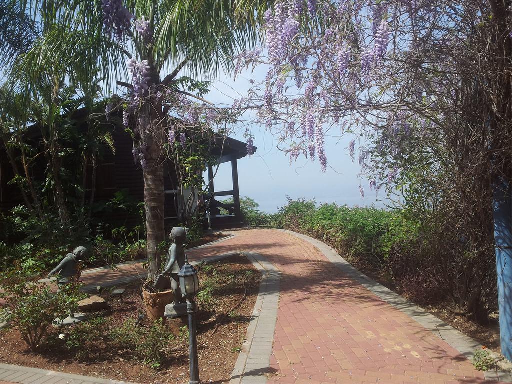 Sea Of Galilee Panoramic View Villa Ramot ห้อง รูปภาพ